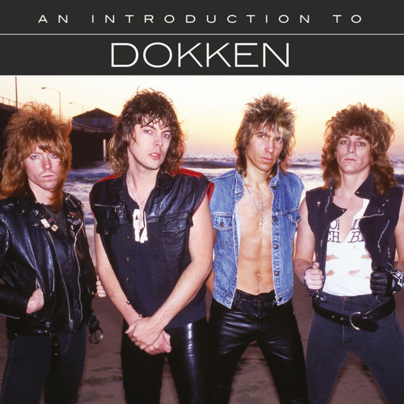 Dokken Image