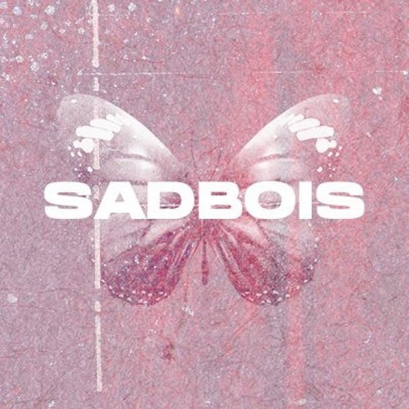 Sadbois Image